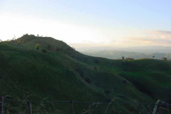 TR07019