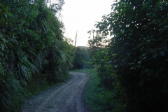 TR07021