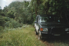 TR00406