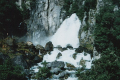 TR02407