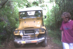 TR03613