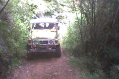 TR03614