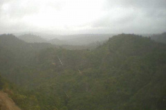 TR03616