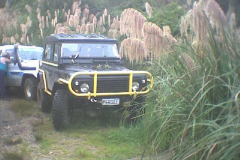 TR03618