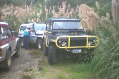 TR03619