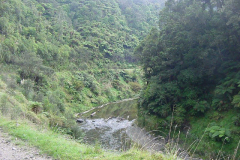 TR05809