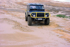 TR00309