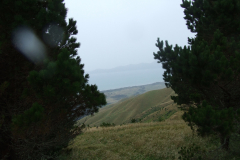 DSCF7848
