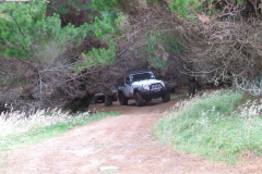 DSCF7849