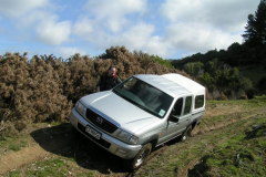 MINOLTA DIGITAL CAMERA