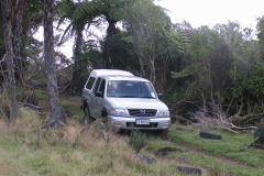 MINOLTA DIGITAL CAMERA