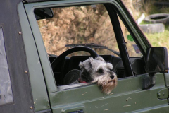 MINOLTA DIGITAL CAMERA