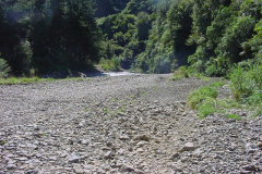 TR04908