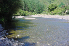TR04914