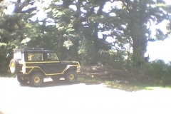 TR09517