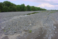 TR08701