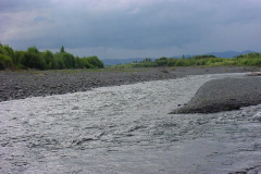 TR08706