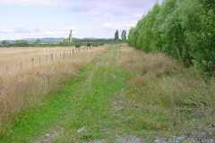 TR08709