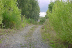 TR08713